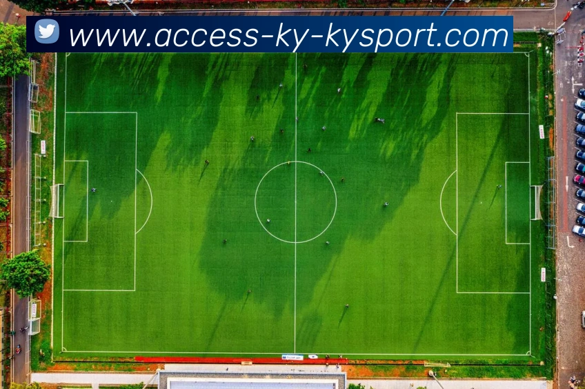 多媒体互动体验